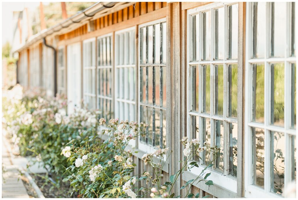 Detail photo of the glass barn at the historic seven sycamores ranch in Ivanhoe, California