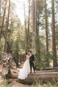 Bride and Groom snuggling into each other on a fallen tree trunk in Yosemite National Park